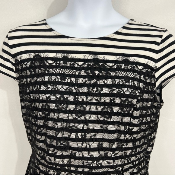 Elle peplum stripped lace shirt size XL - Picture 3 of 14